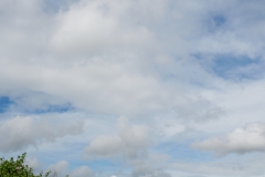 DSC_1785hf