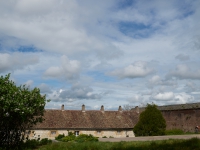 DSC_1784hf