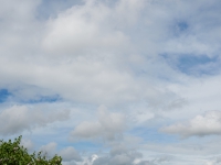 DSC_1785hf
