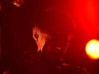 direngrey2013q