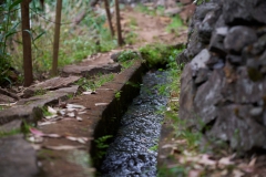 DSC_6862hf