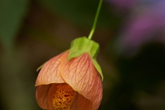 DSC_7159sm