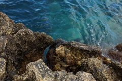 DSC_7651sm