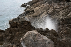 DSC_8396hf