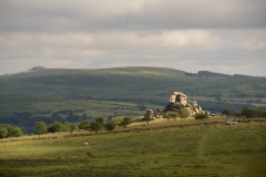 Dartmoor01